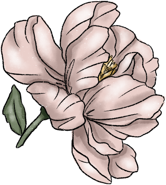 Illustration of a delicate pink peony with detailed petals and a hint of shimmer. The flower is accented by two green leaves, conveying elegance and softness.