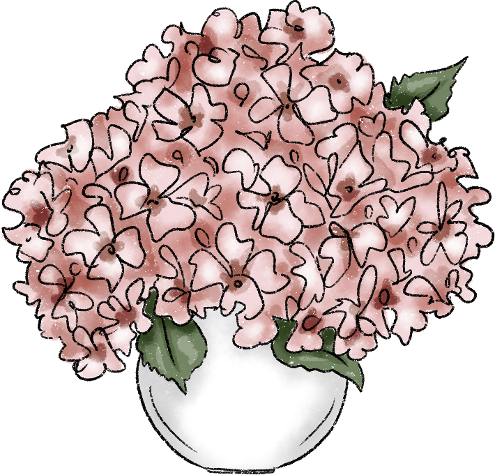 Illustration of a blooming pink hydrangea in a white vase, surrounded by green leaves. The flowers are densely packed, creating a soft and vibrant display.